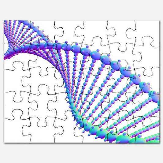 MTHFR A1298C Mutation