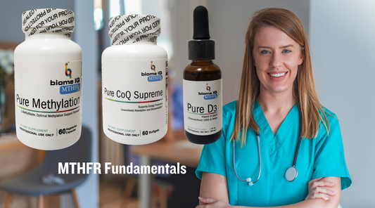 MTHFR Fundamentals