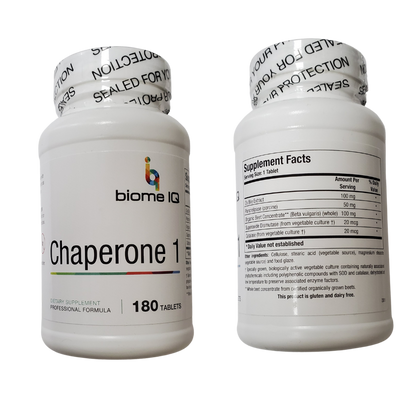 Chaperone 1 is composed of bile salts, SOD, and catalase. This is used to improve the ability of butyrate to move into the cells as it can function as a heat shock protein. SOD binds to molecules of copper and zinc to break down toxins. Charged oxygen molecules called superoxide radicals are byproducts of normal cell processes, these free radicals must be broken down regularly to avoid damaging cells, in this case motor neurons.